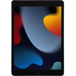Apple iPad 10.2 (9.Gen) Cellular 64GB Space Grau